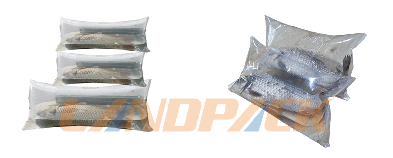 充氧氣袋裝活魚(yú) 充氧氣袋裝活魚(yú)